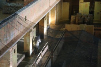 69cash_war_race_2016_157  